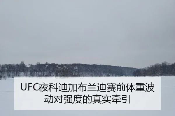 ye-ke-di-jia-bu-lan-di-sai-qian-ti-zhong-bo-dong-dui-qiang-du-de-zhen-shi-qian-yin-2-395.jpg